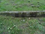image of grave number 496985